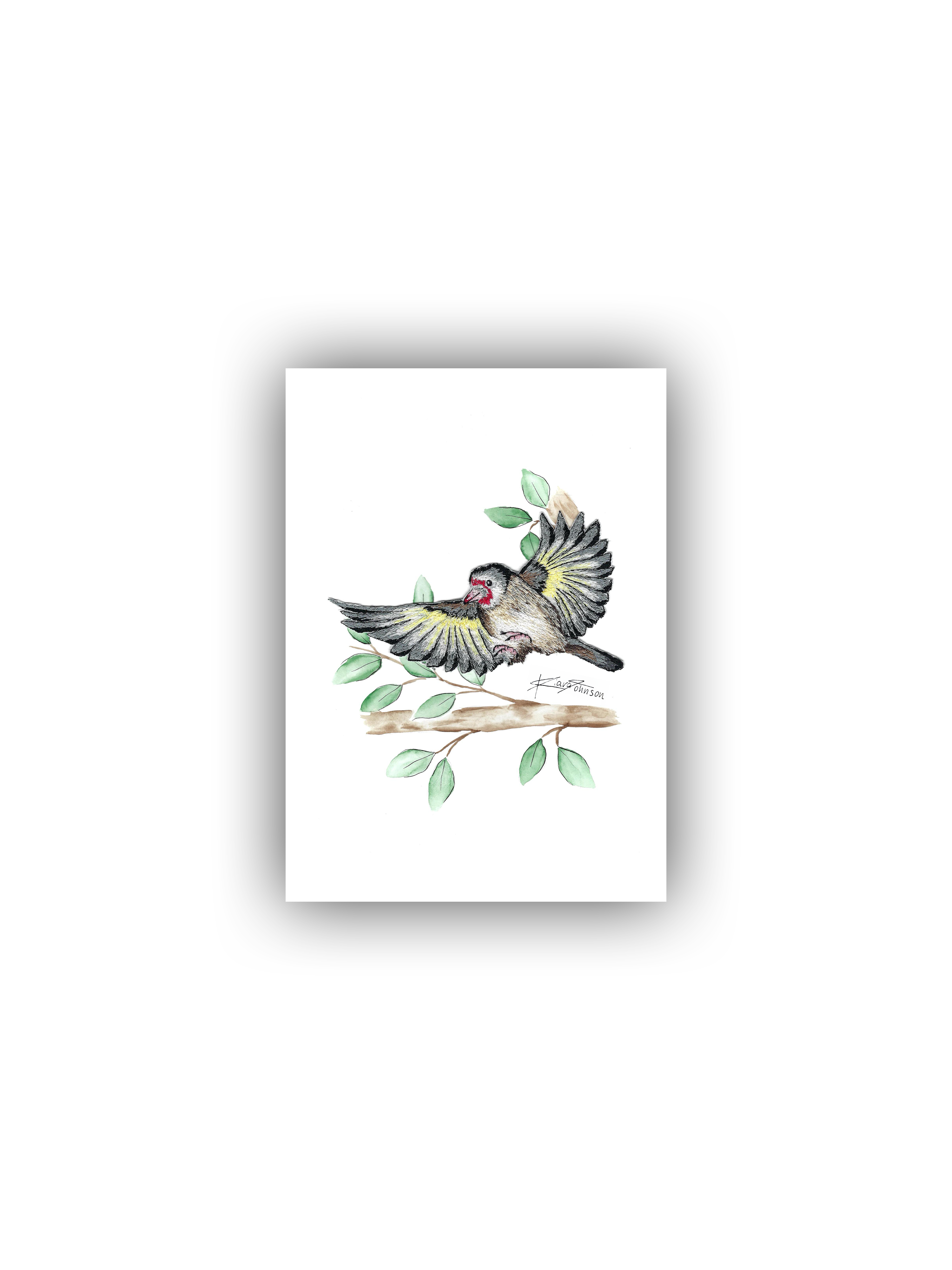 Gold Finch Print