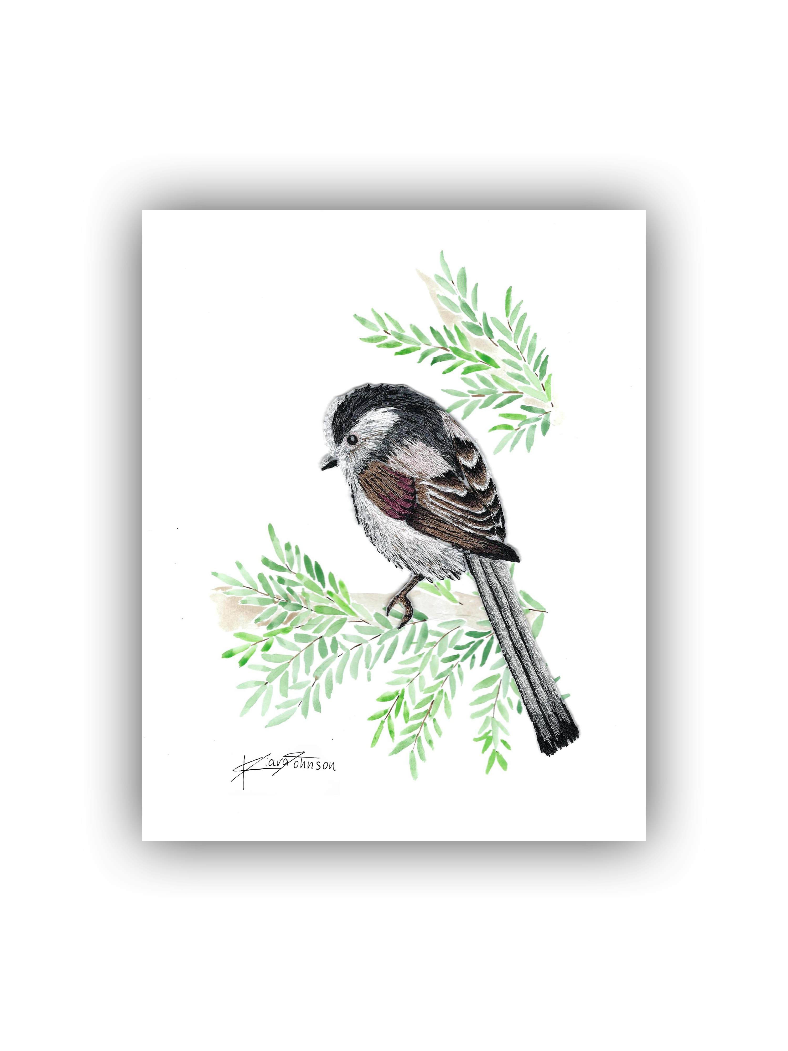Long Tailed Tit Print