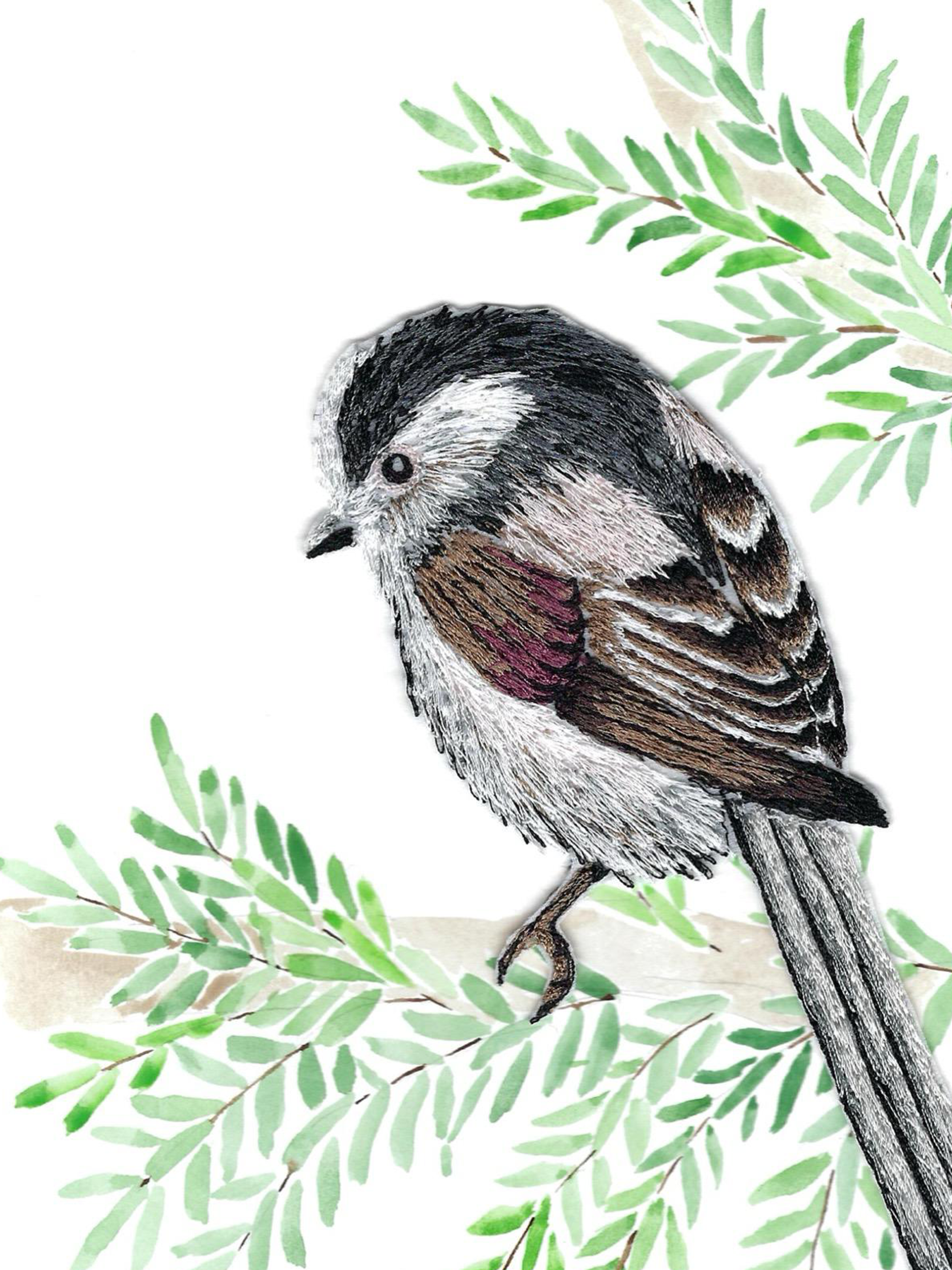 Long-Tailed Tit Embroidery
